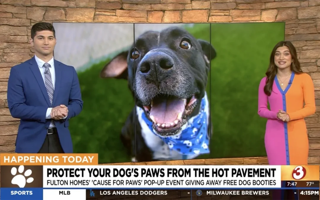 Fulton Homes — Cause for Paws on KTVK Arizona’s Family